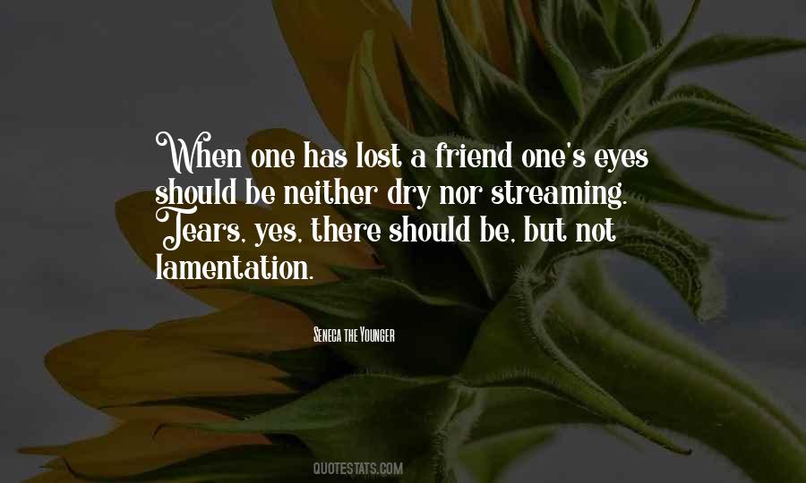 Lost Friend Quotes #1428767