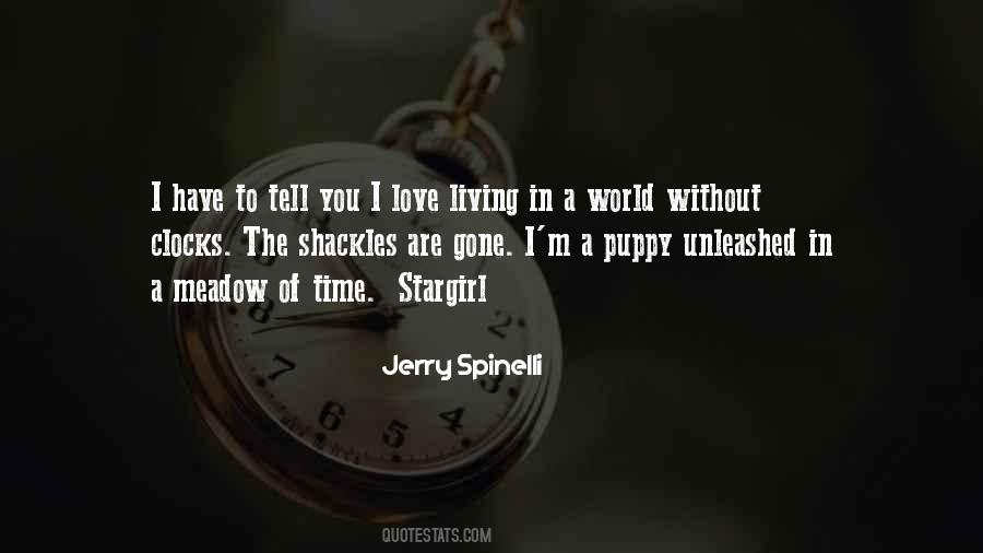 Stargirl By Jerry Spinelli Quotes #1467236