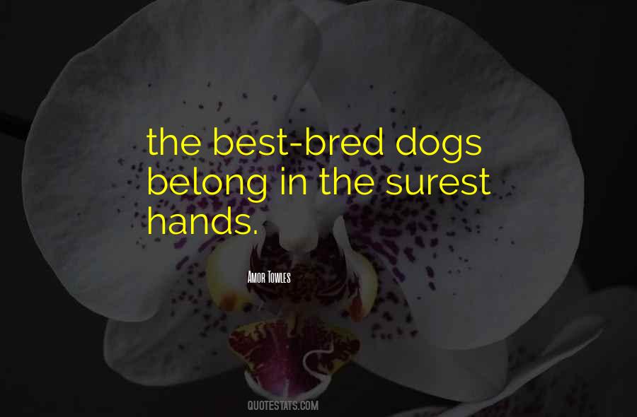 Vegging Out Quotes #1084030