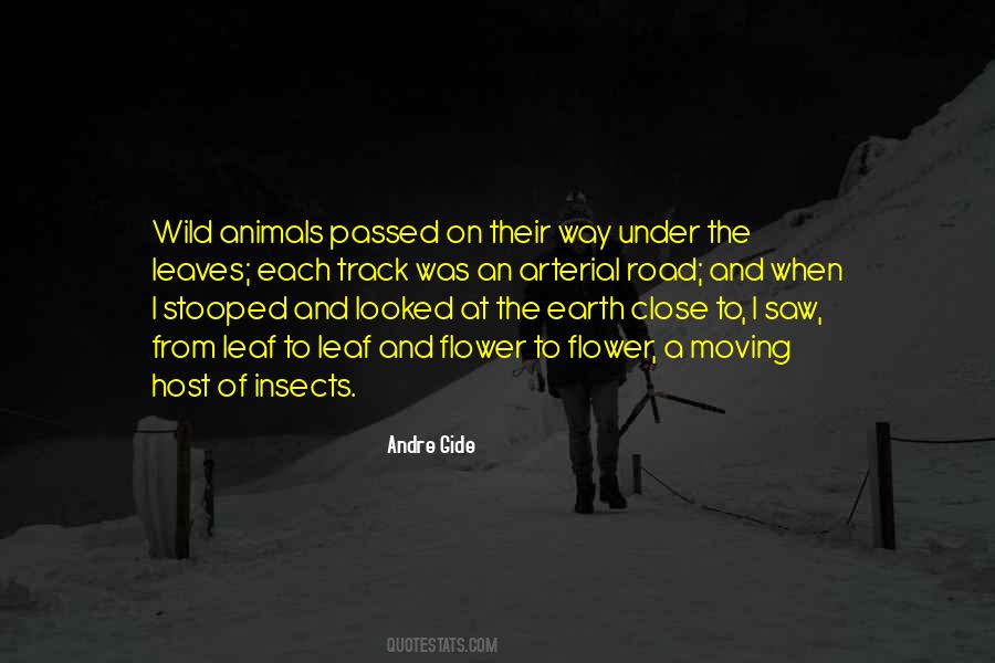 Roofless Car Quotes #340677