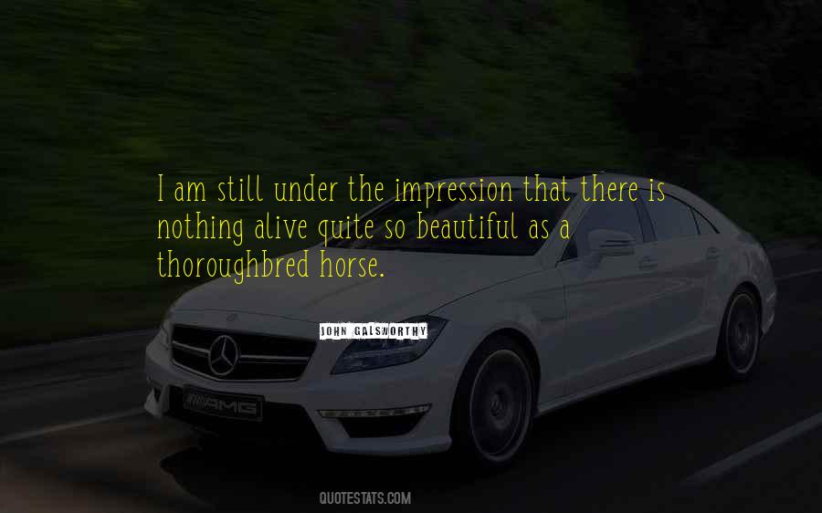Beautiful Horse Quotes #674731