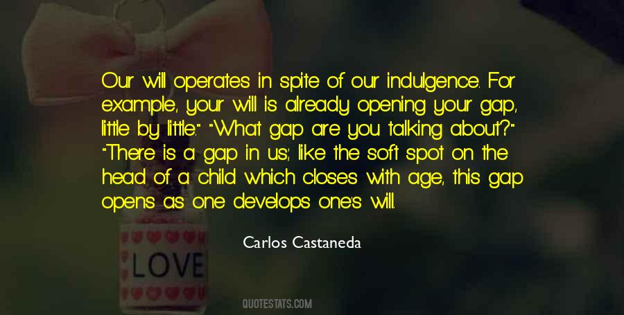 Castaneda Quotes #119331