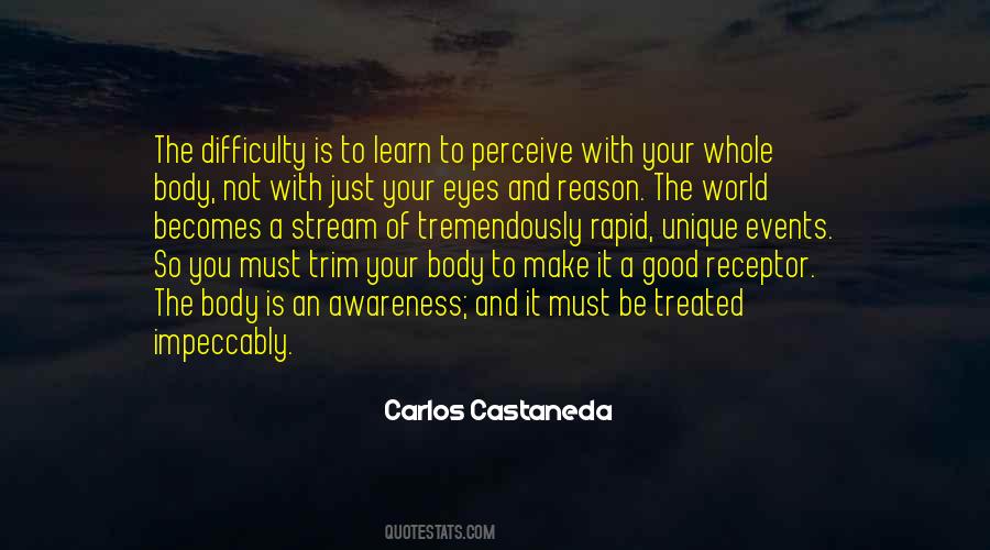 Castaneda Quotes #247709