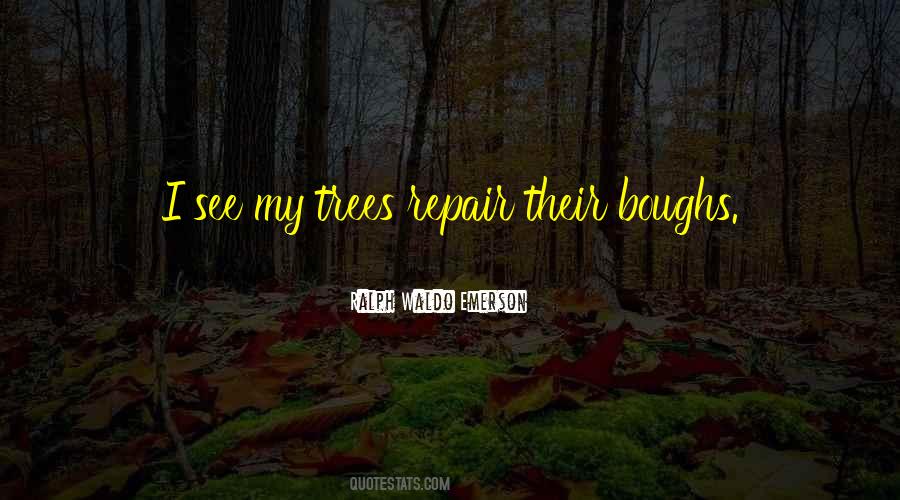 Ifeyinwa Osunkwo Quotes #1508174