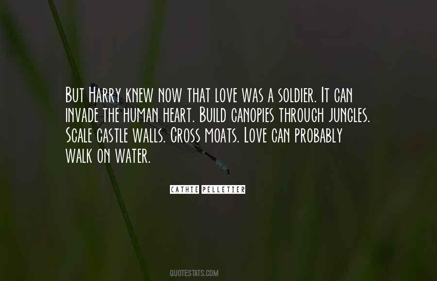 Castle Quotes #1040409