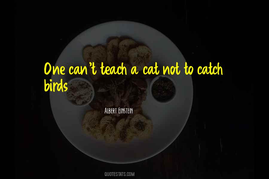 Cat Bird Quotes #422979