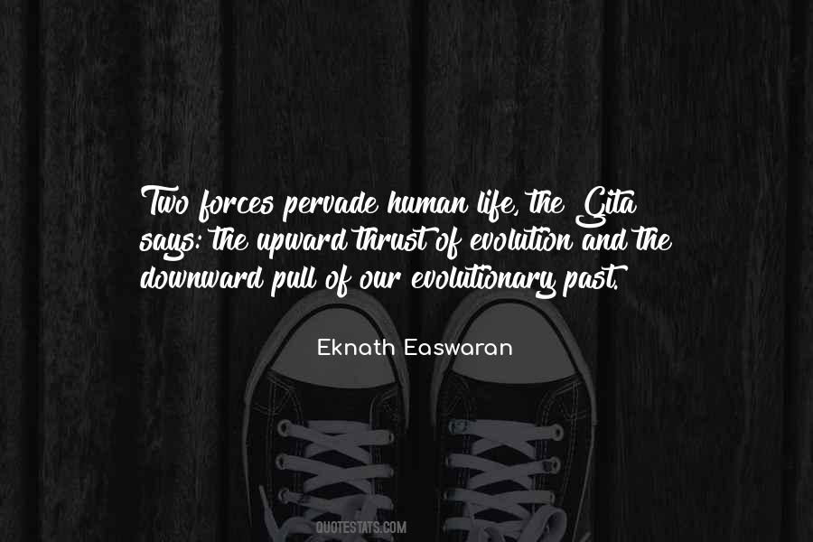Gita Life Quotes #1591381