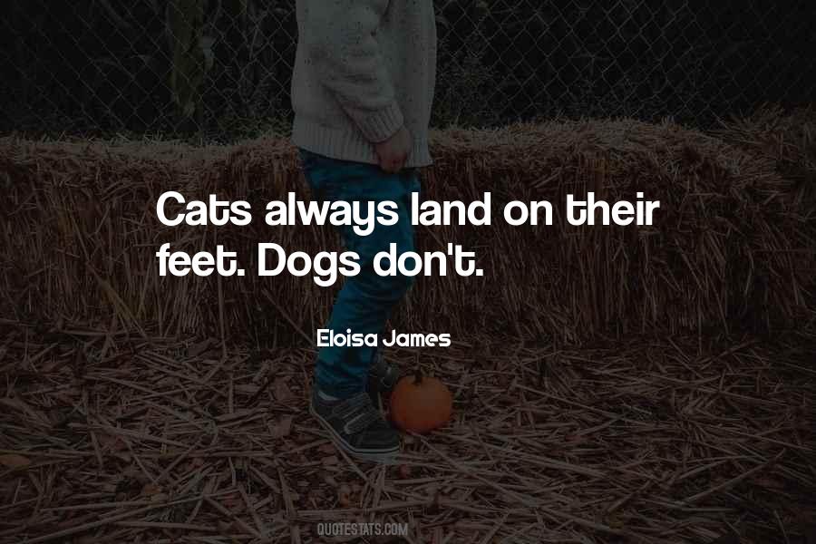 Cat Feet Quotes #447016