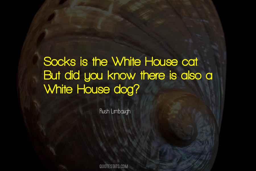 Cat House Quotes #1082463