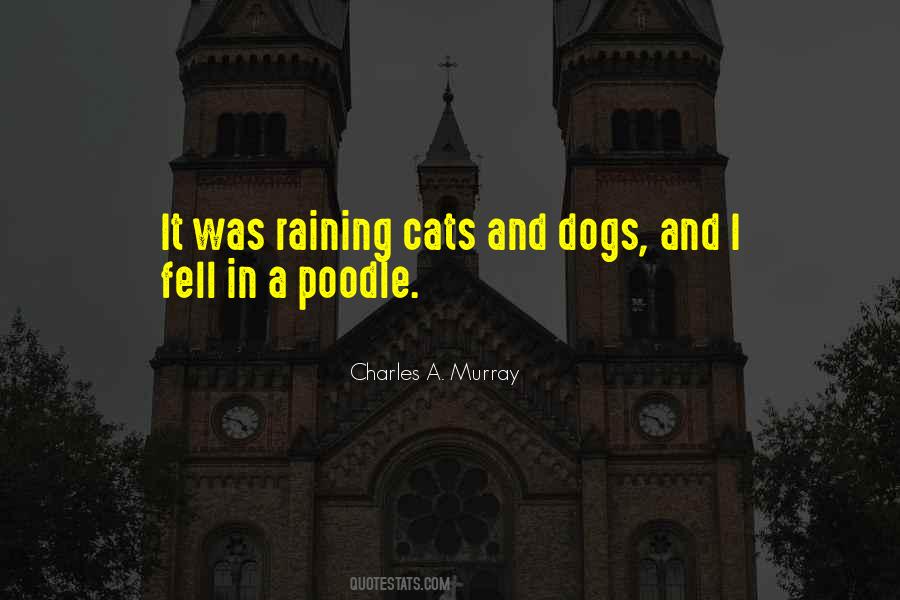 Cat In The Rain Quotes #1609541