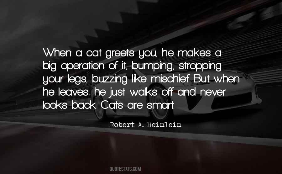 Cat Like Quotes #138350