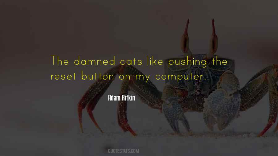 Cat Like Quotes #62673