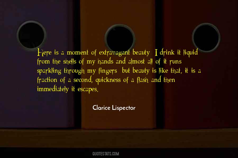 Quotes About Lispector #860198