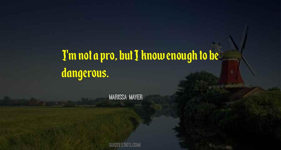 Bittu Sahgal Quotes #1785030