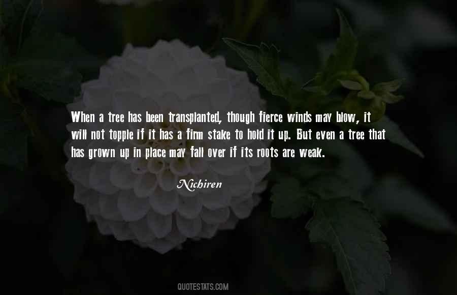 Hold Firm Quotes #896826