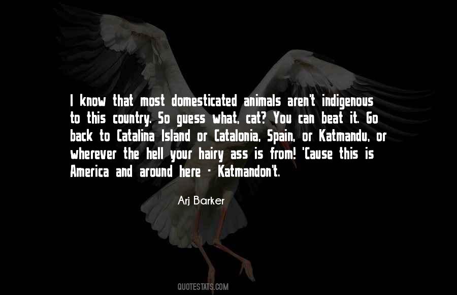Catalina Quotes #1366146