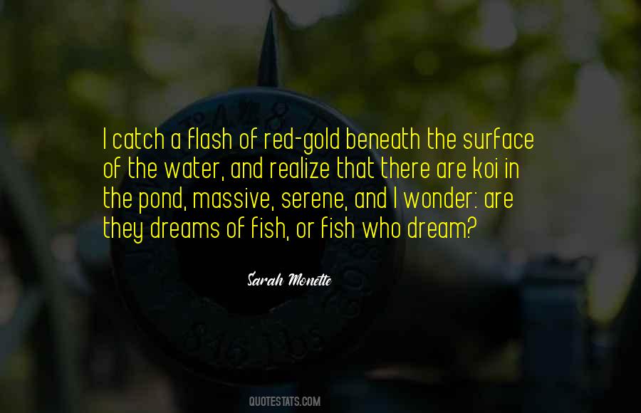 Catch A Dream Quotes #635683