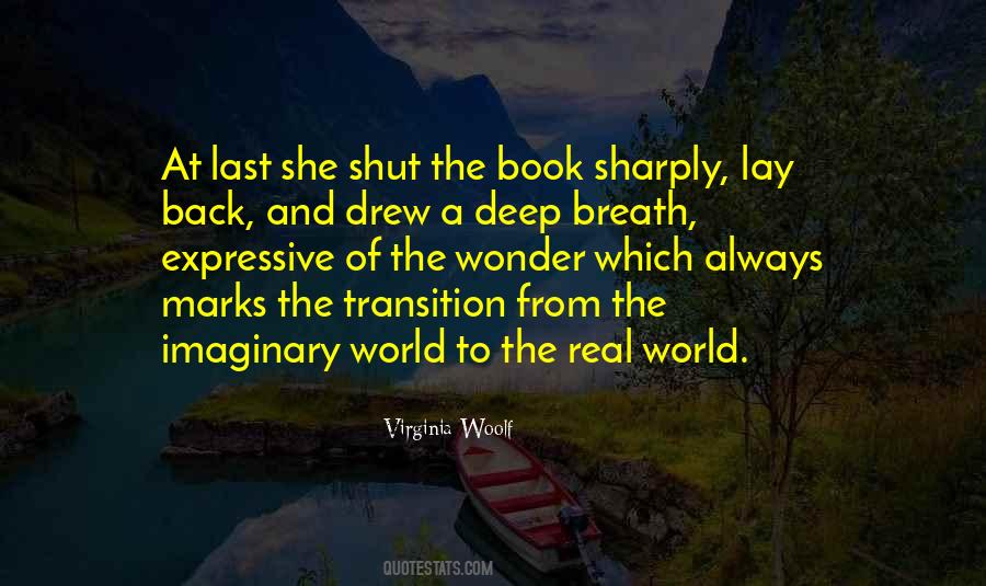 The Imaginary Quotes #1102409