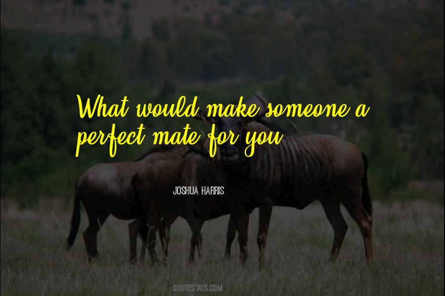Schaubroeck And Jones Quotes #68935