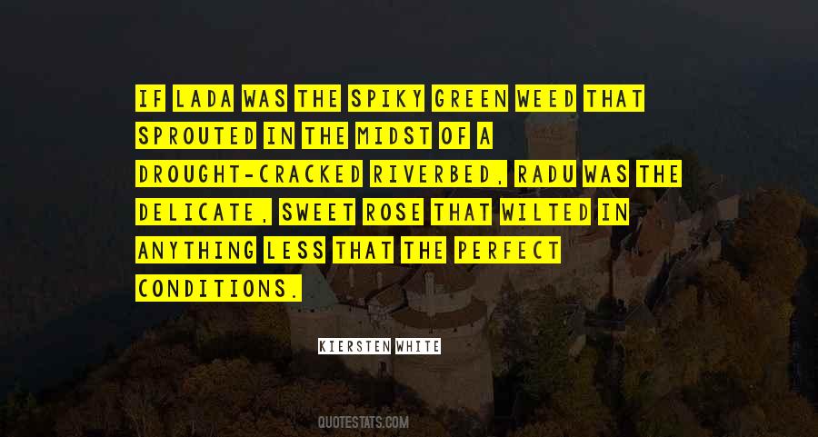 Gaella Kabeya Quotes #601694