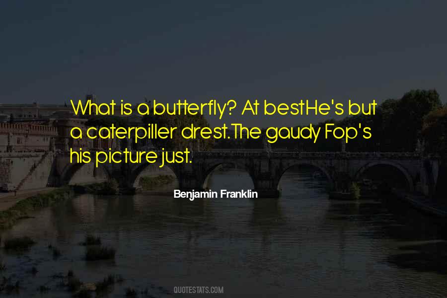 11birthdays Quotes #296445