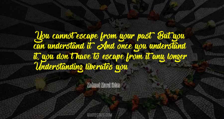 Dipippo Usa Quotes #207228