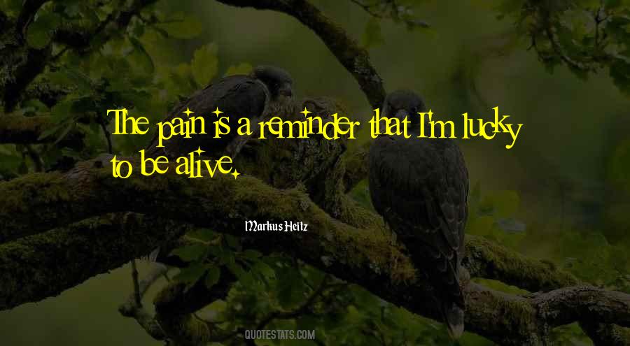 Pain Is Quotes #1236084