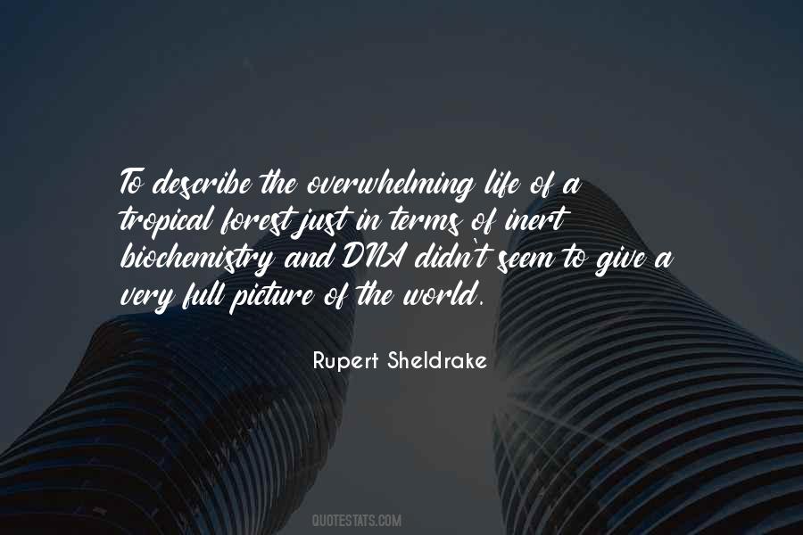 When Life Is Overwhelming Quotes #150197