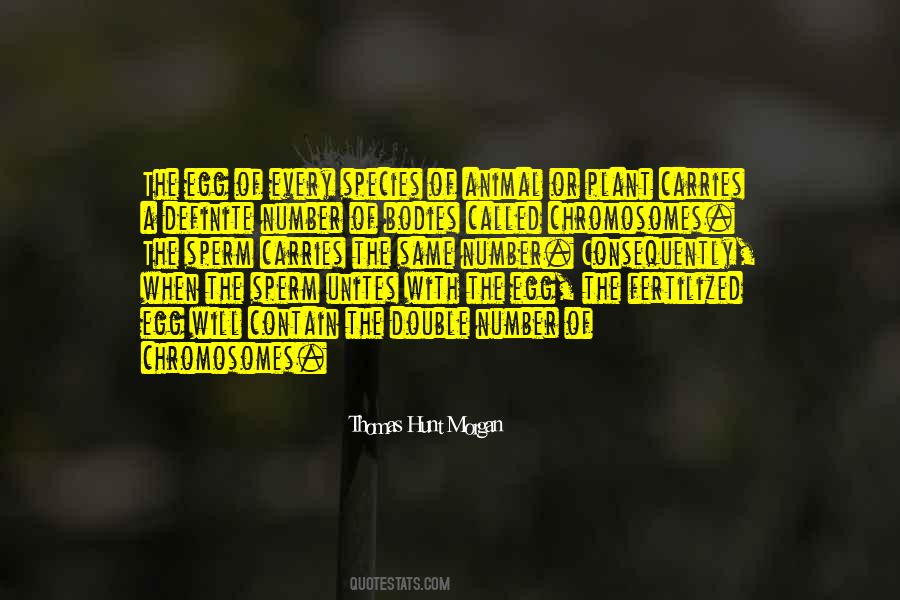 2008302 S Quotes #1681440