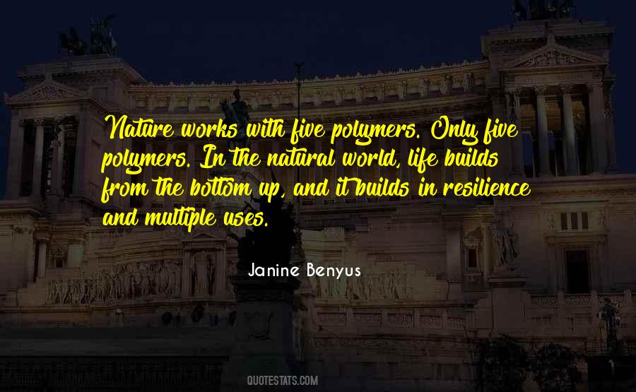 Ethnomathematics Quotes #212566