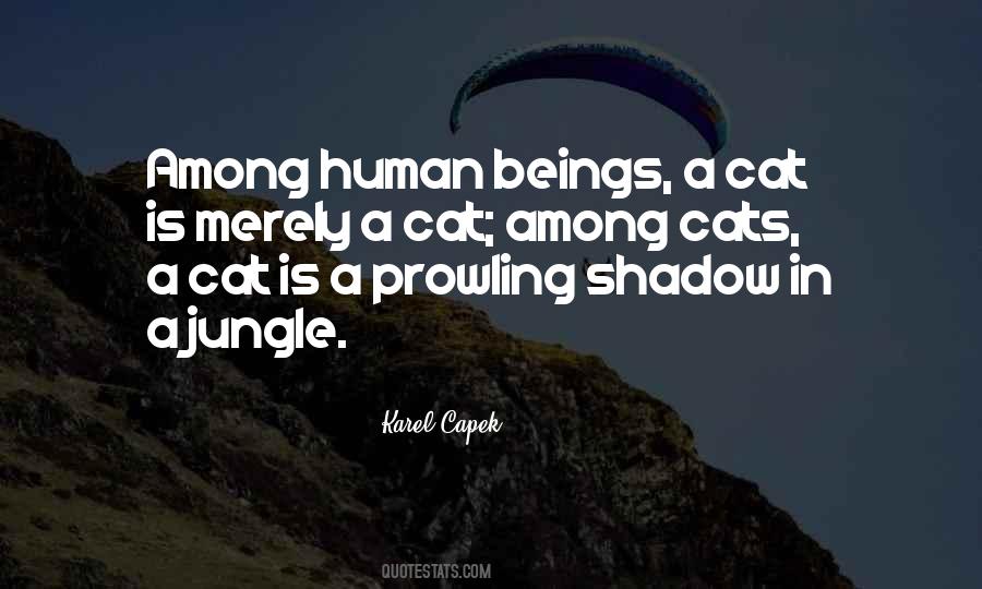 Cats Shadow Quotes #78644