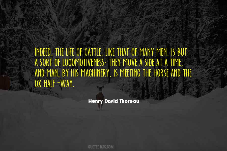 Cattle Man Quotes #528339