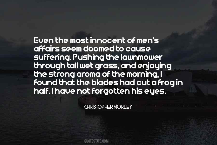 Cause Of Pain Quotes #1025885