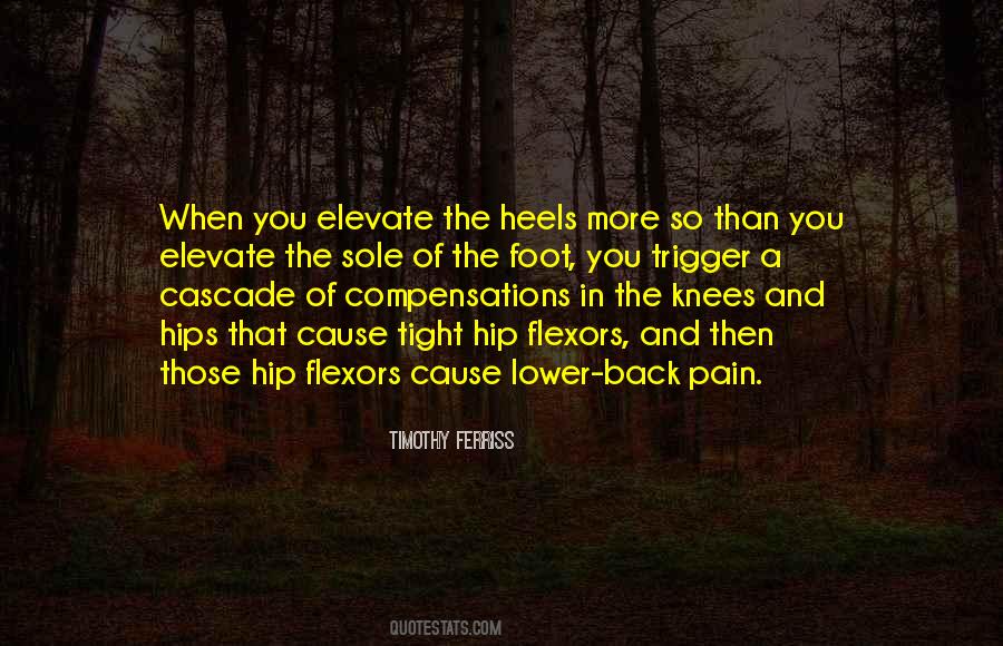 Cause Of Pain Quotes #221232