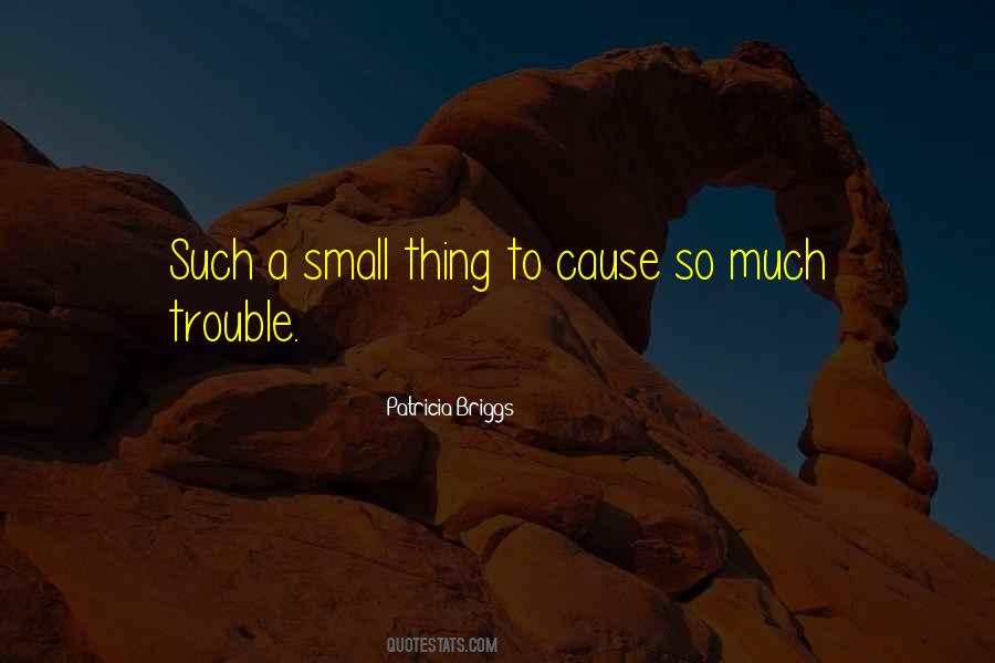 Cause Trouble Quotes #116867