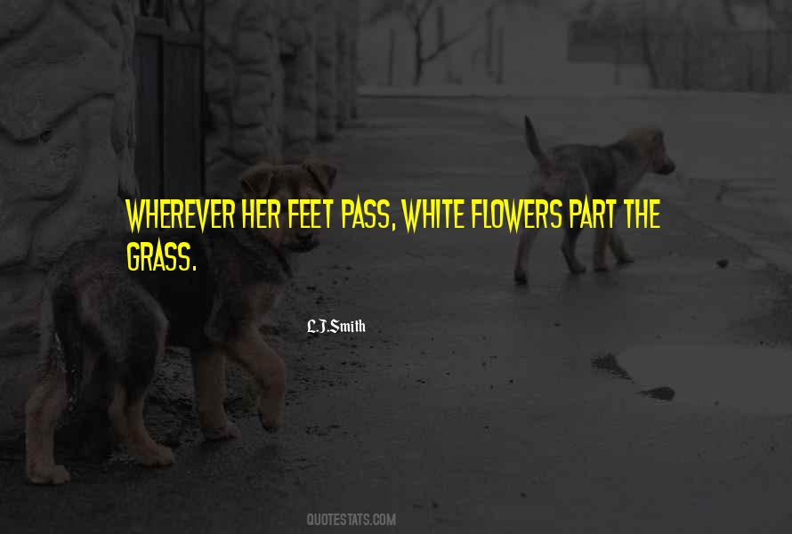 Bonsignore Racing Quotes #524950