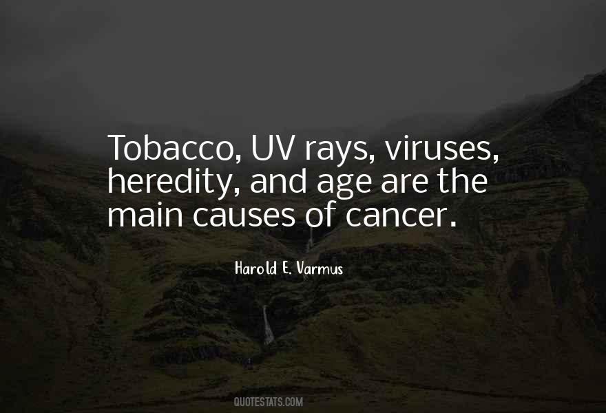 Causes Of Cancer Quotes #1653469