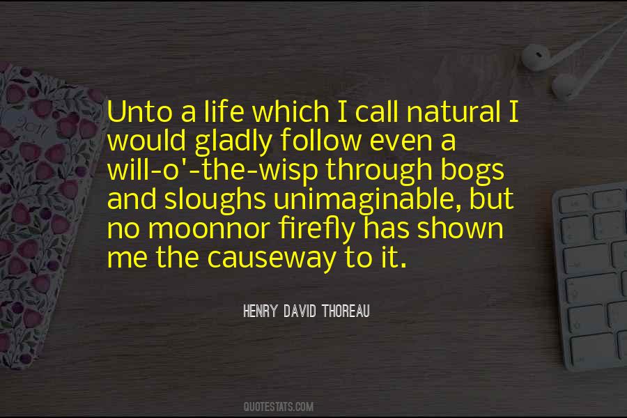 Causeway Quotes #1454959