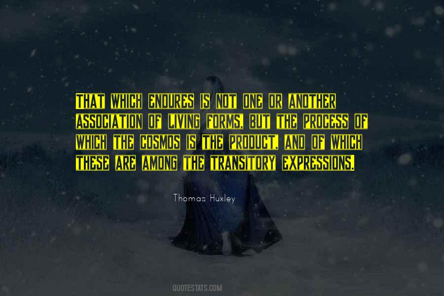 Pajero Io Quotes #265017
