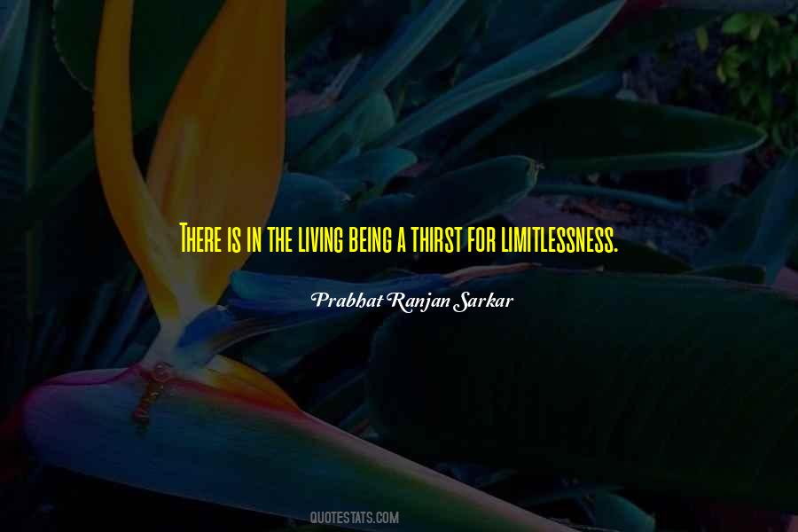 Quotes About Limitlessness #733089