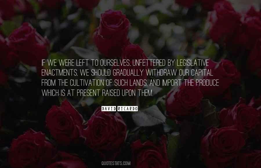 Obtener Nss Quotes #180518
