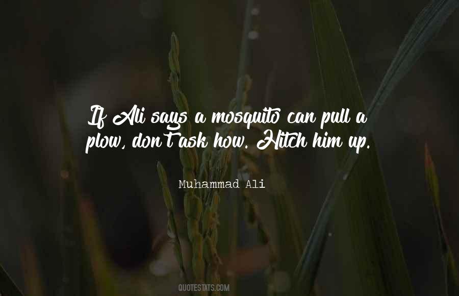 Sengit Artinya Quotes #1203765