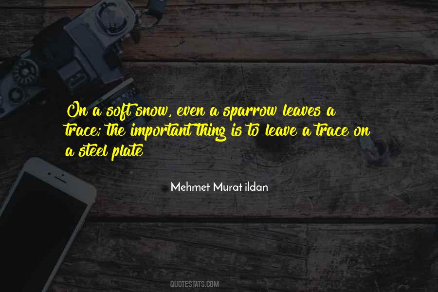 The Sparrow Quotes #320519