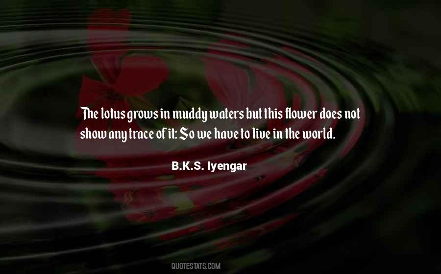 Yuchan Star Quotes #1381120