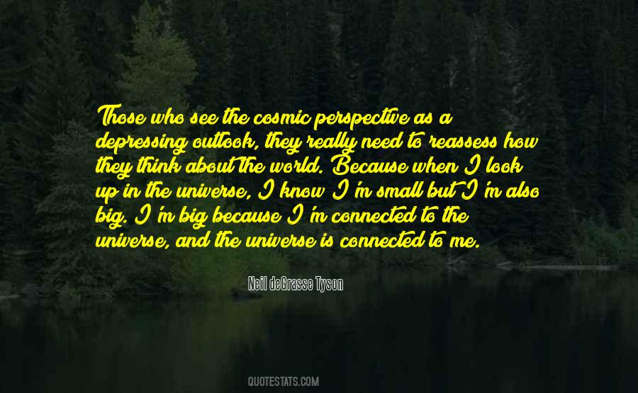 How Big The Universe Is Quotes #802014