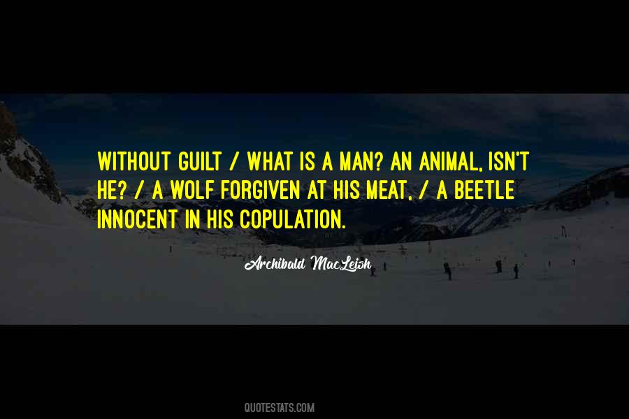 Innocent Animal Quotes #867026