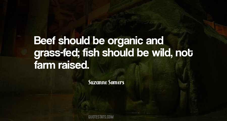 29 And Under Boutique Quotes #1033036
