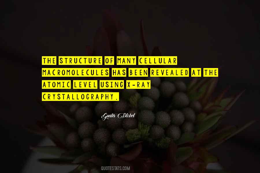 Cellular Structure Quotes #347171