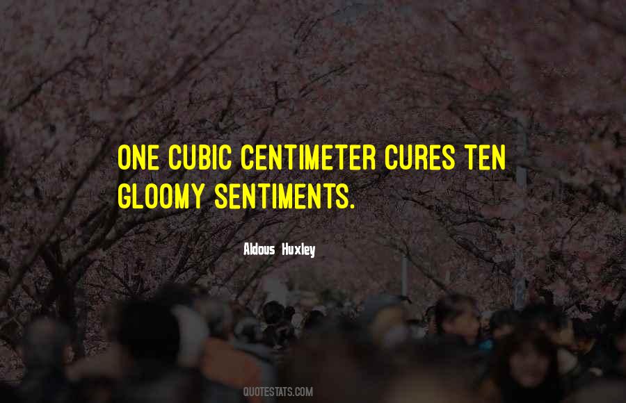 Centimeter Quotes #1692015