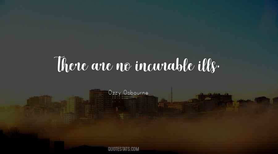 Kambili Purple Hibiscus Quotes #905262